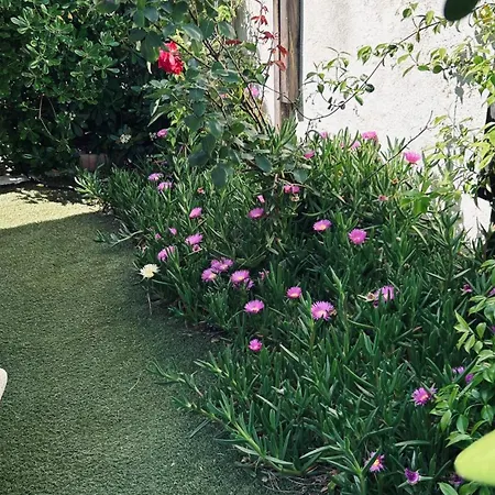 Refait à Neuf Avec Jardin Mortes Appartamento *